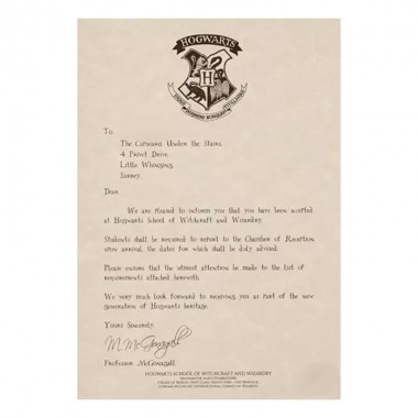 Набор Письмо из Хогвартса и значок факультета Гарри Поттер